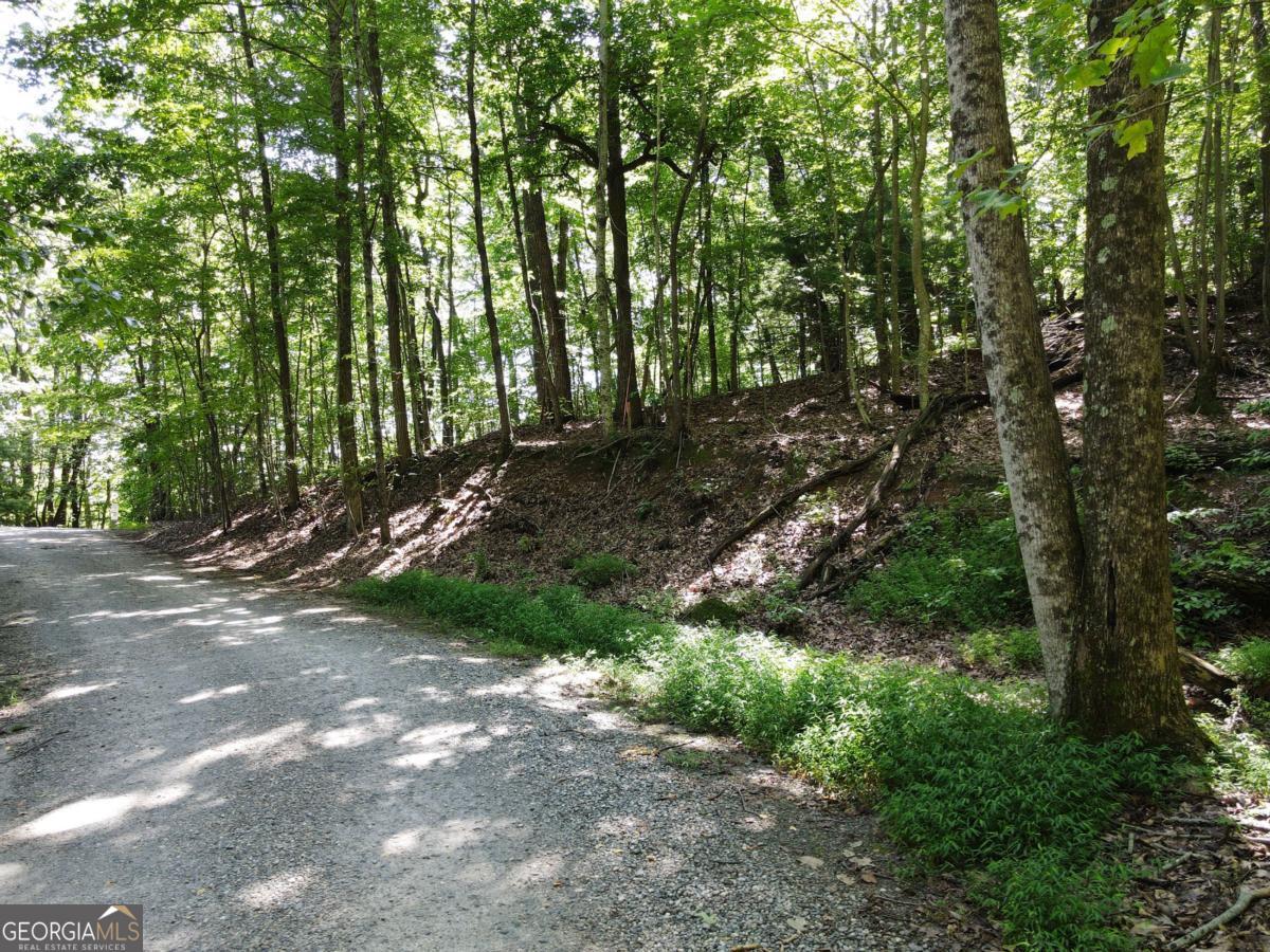 0 Bald Eagle Path Cleveland, GA 30528 - Photo 5 of 32 a view of outdoor space and yard