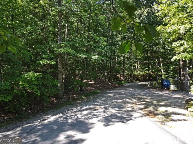 a view of a tree in the middle of a yard