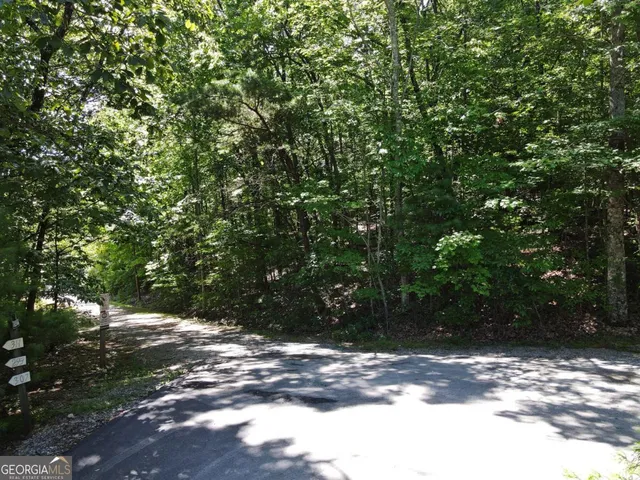 a view of a yard with plants and trees