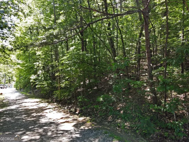 a view of a tree in a yard