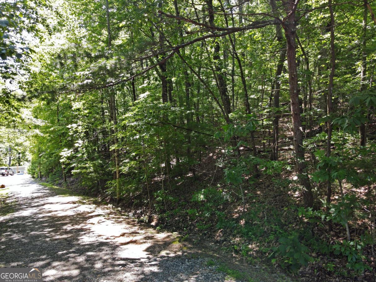 0 Bald Eagle Path Cleveland, GA 30528 - Photo 10 of 32 a view of a tree in a yard