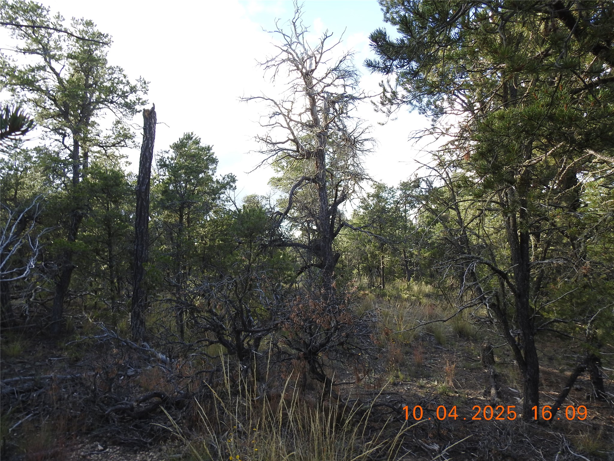 129 Tierra De Dios Ribera, NM 87560 - Photo 6 of 23