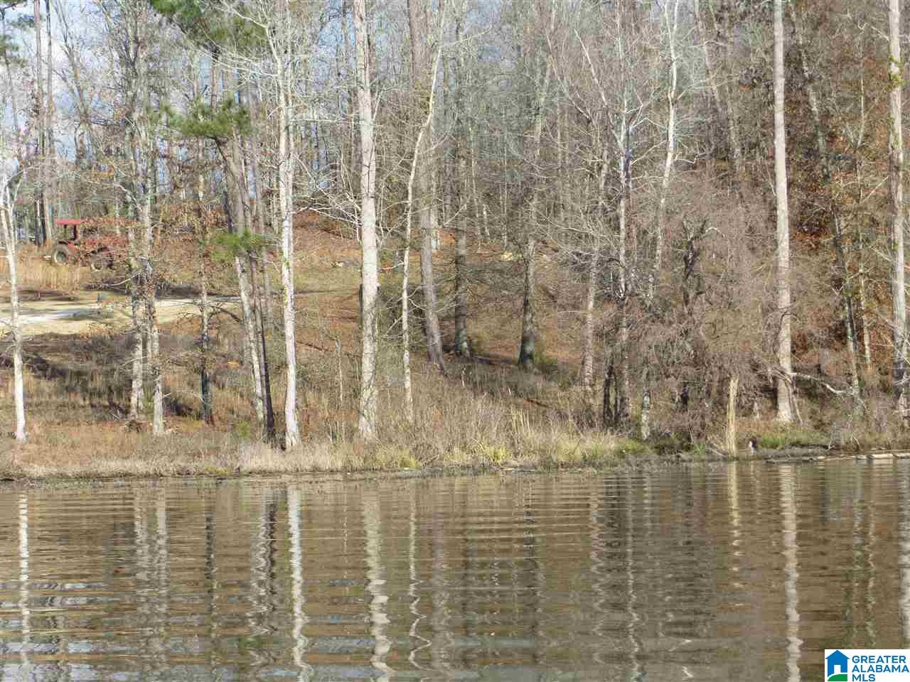 Lot 11 Eagle Mountain Road, Unit 11 Alexander City, AL 35010 - Photo 10 of 11