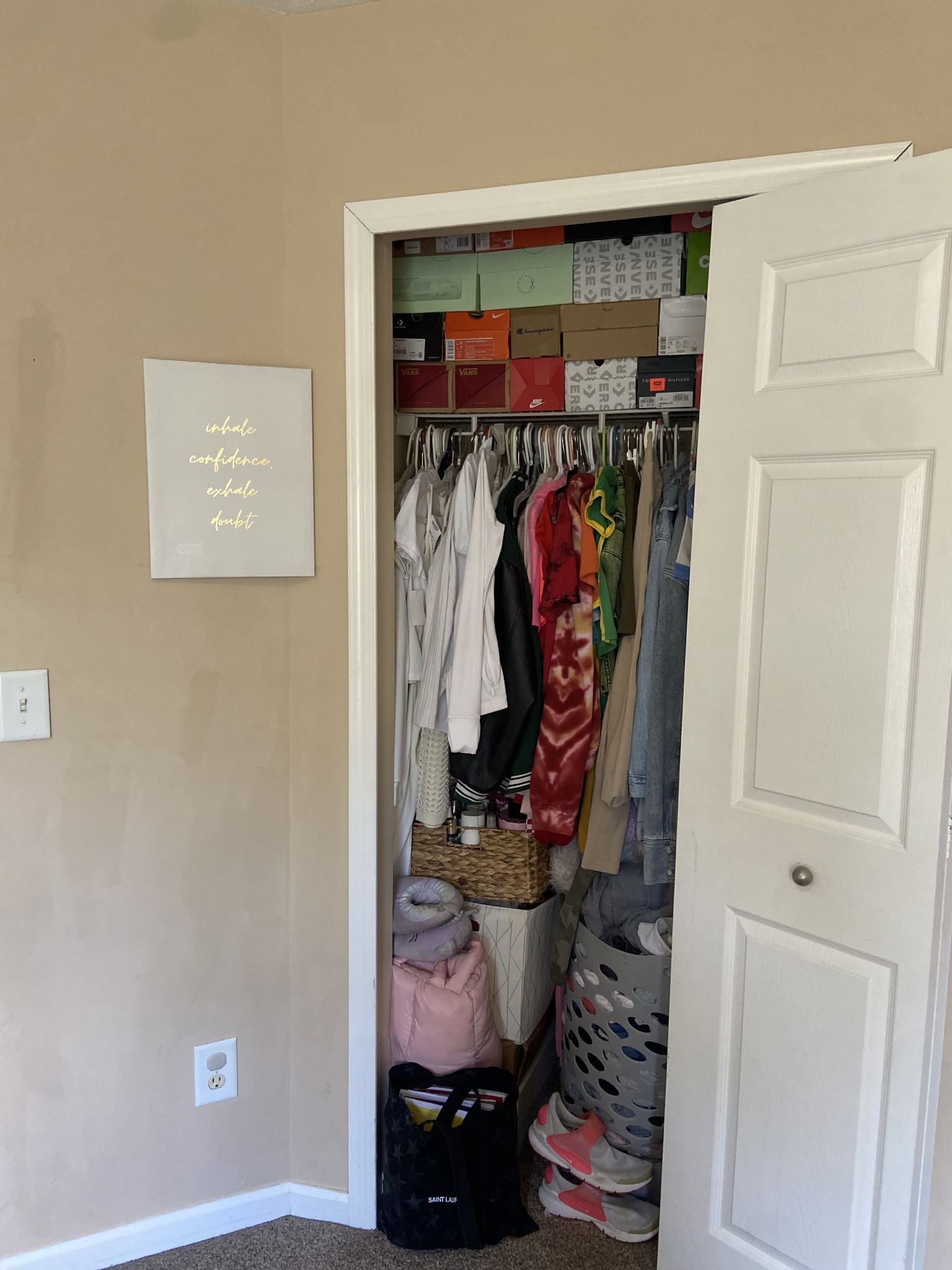 1660 Comanche Run Madison, TN 37115 - Photo 22 of 28 a view of walk in closet with clothes and shoes