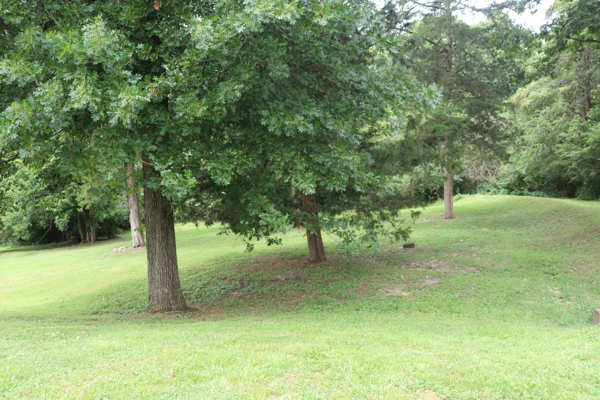 1660 Comanche Run Madison, TN 37115 - Photo 27 of 28 a view of a trees with a yard