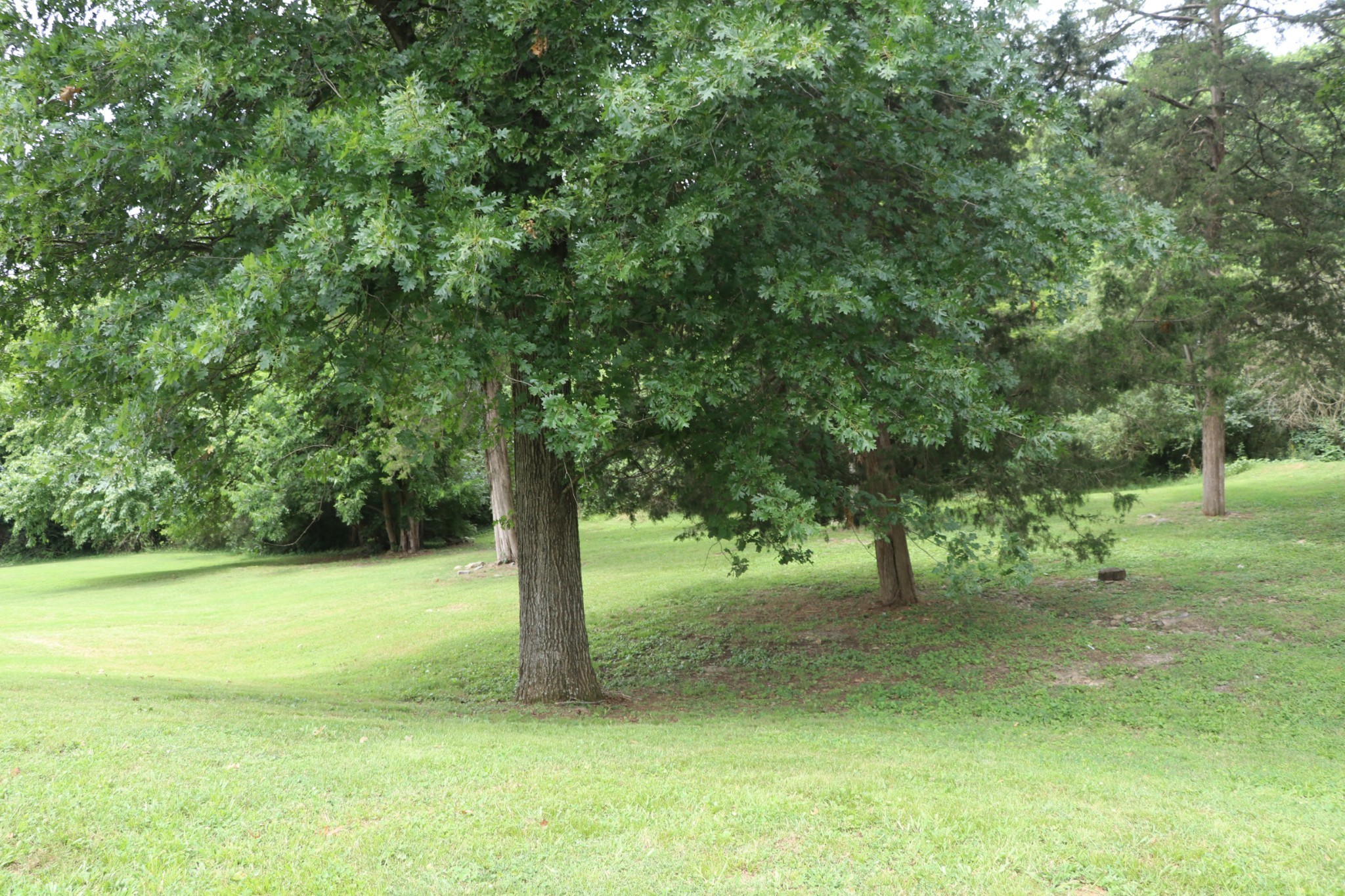 1660 Comanche Run Madison, TN 37115 - Photo 28 of 28 a view of a trees with a yard