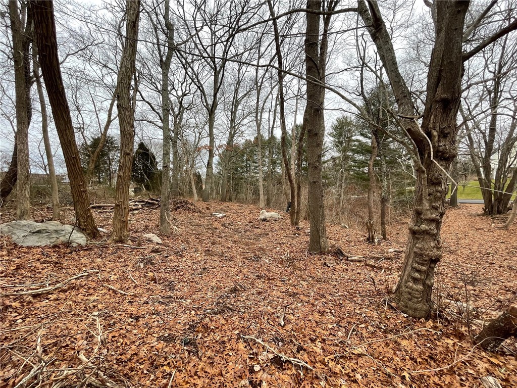 30 Piezzo Drive Westerly, RI 02891 - Photo 5 of 12 Lot before it was cleared