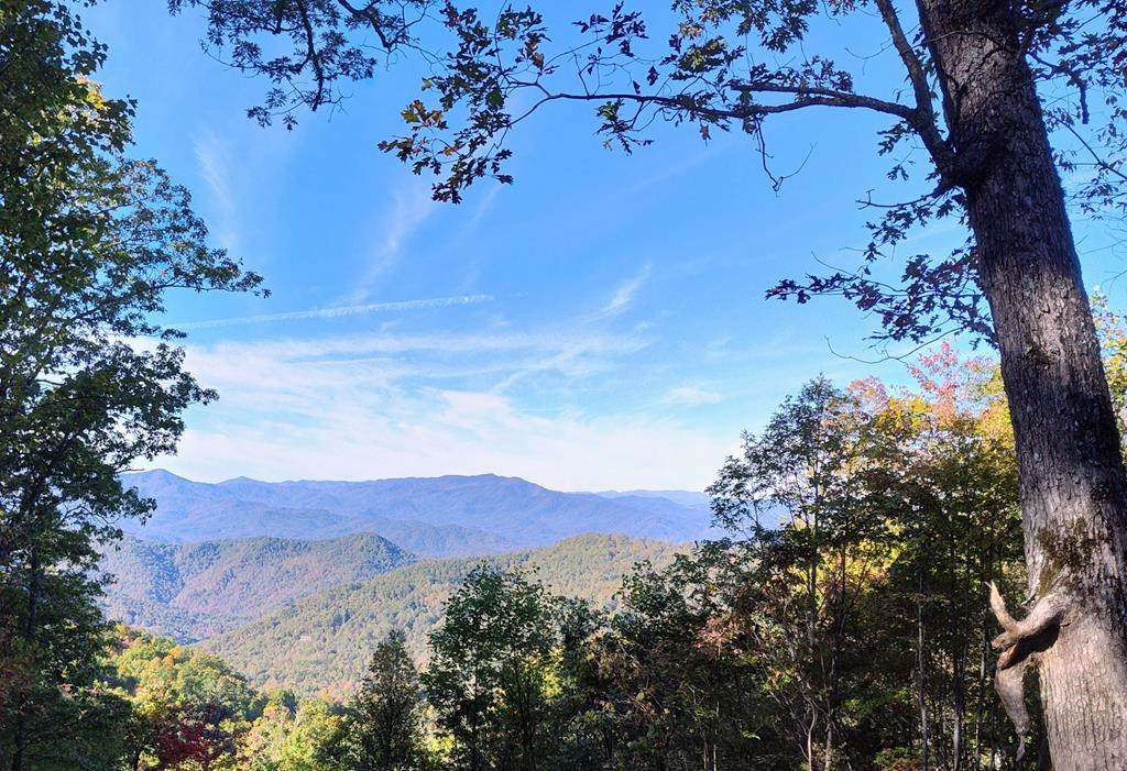0 East Alarka Road Bryson City, NC 28713 - Photo 26 of 28