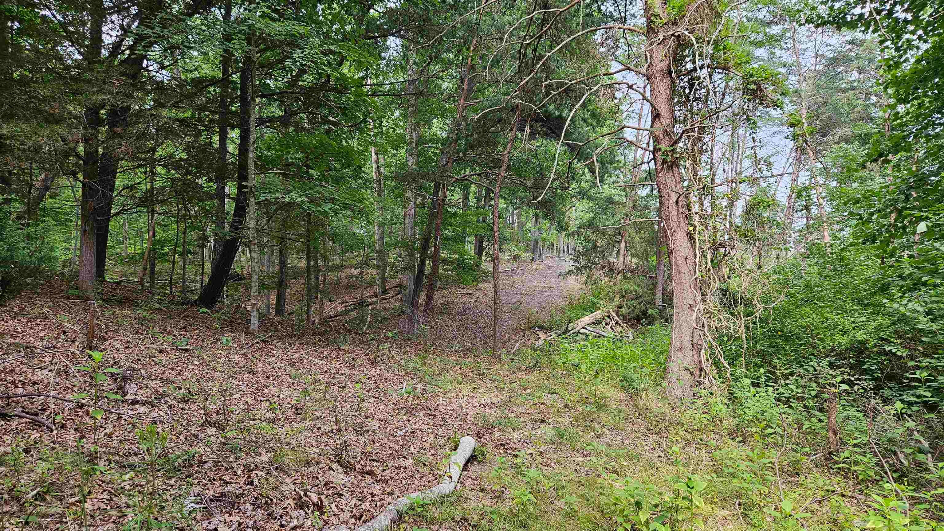 Tbd Reesedale Road Elliston, VA 24087 - Photo 5 of 35 Gallery Image 5