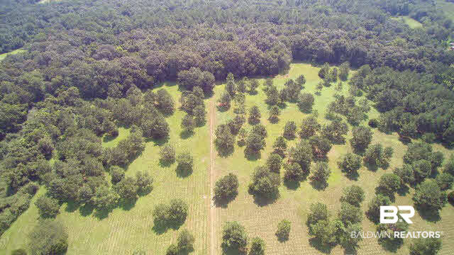 27608 County Road 65 Loxley, AL 36551 - Photo 23 of 32 Aerial Southeast
