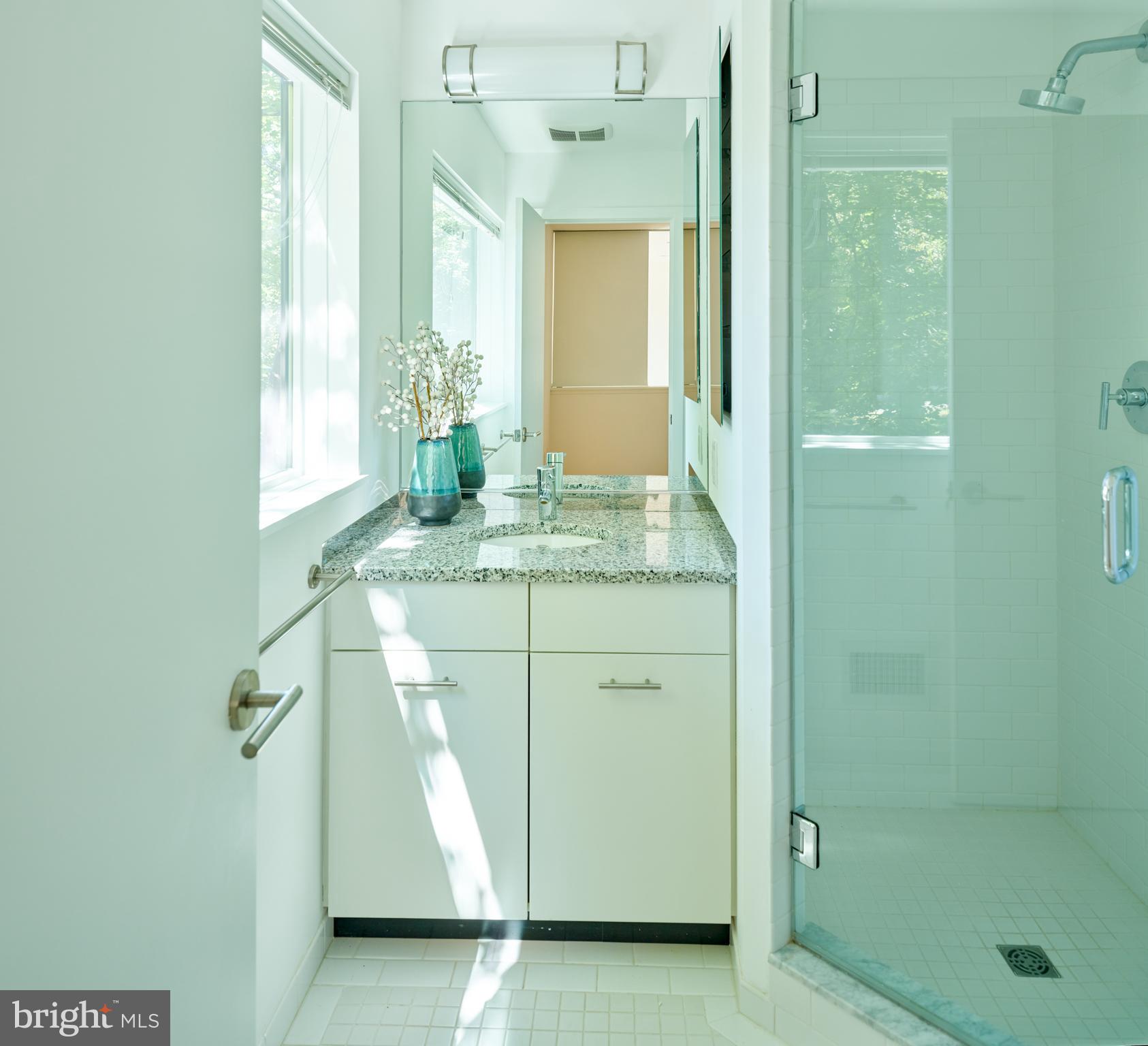 7189 Centerbridge Road New Hope, PA 18938 - Photo 35 of 48 a bathroom with a granite countertop sink a mirror and a shower