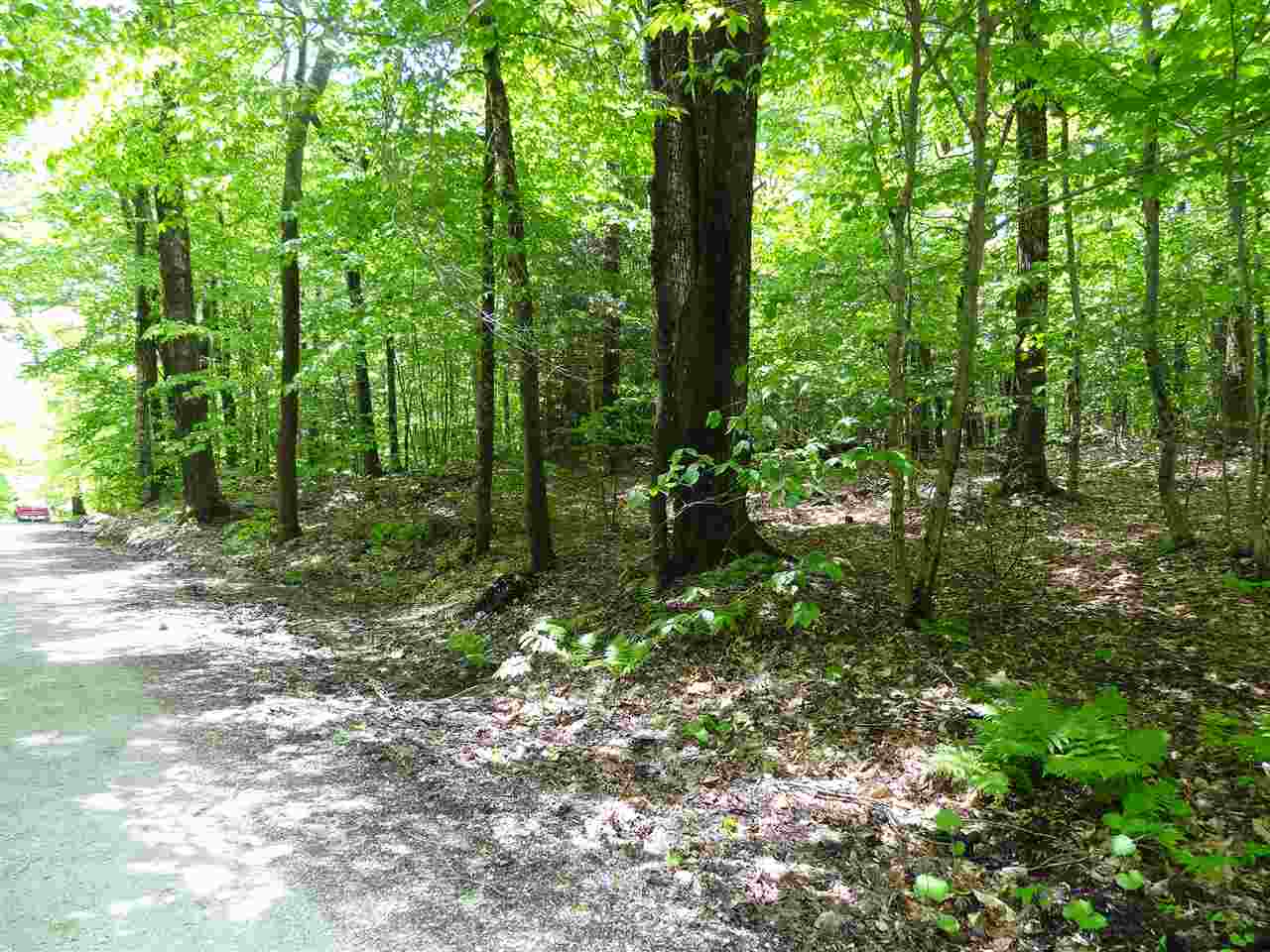 0 Old Tiffany Road Mount Holly, VT 05758 - Photo 1 of 8 Gallery Image 1