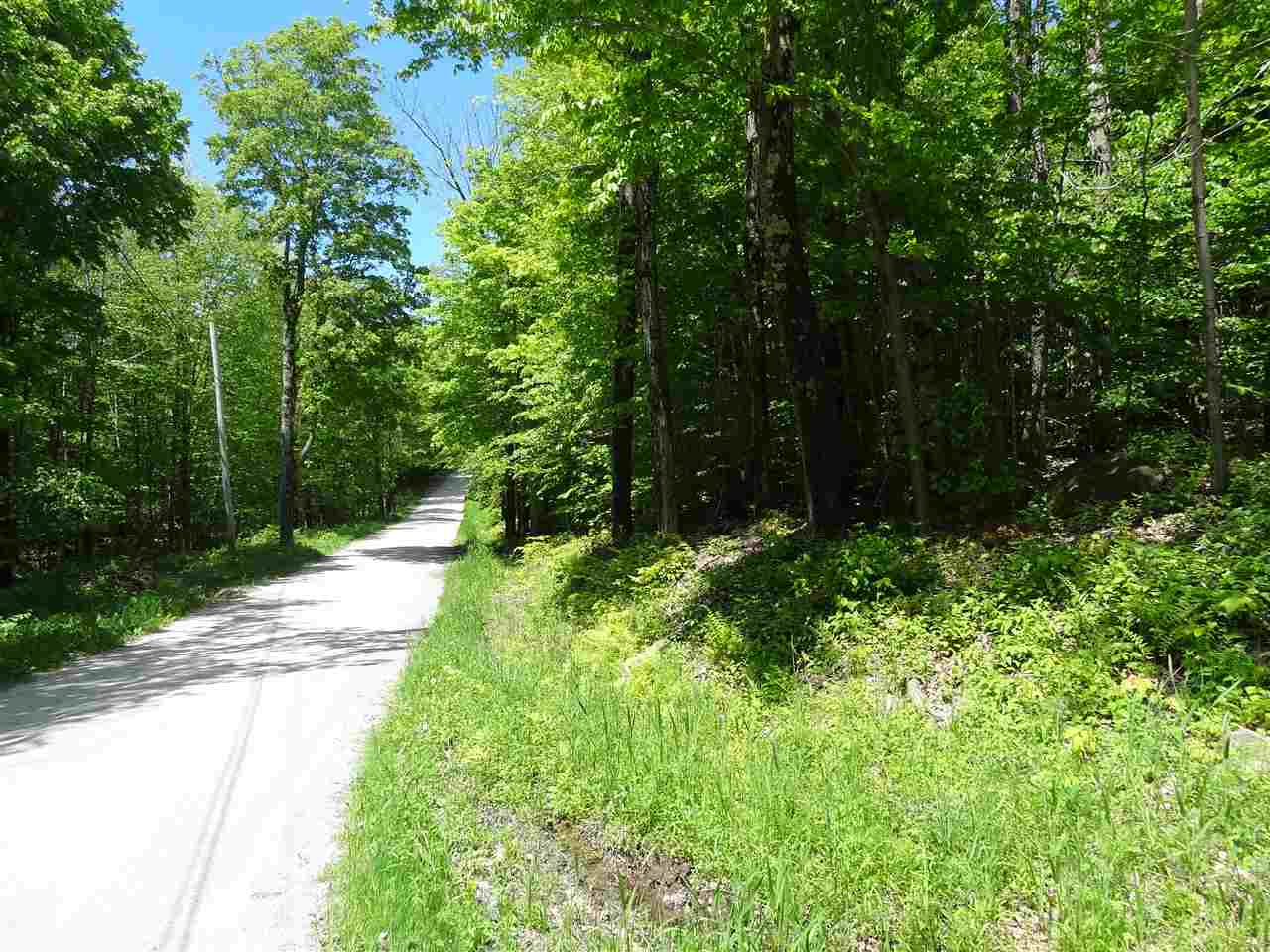 0 Old Tiffany Road Mount Holly, VT 05758 - Photo 3 of 8 Gallery Image 3