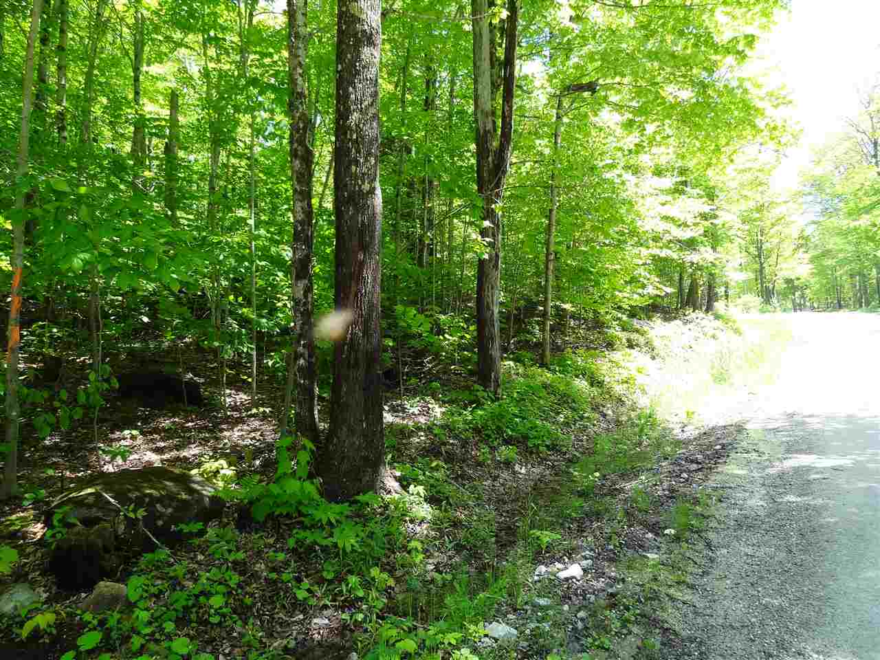 0 Old Tiffany Road Mount Holly, VT 05758 - Photo 4 of 8 Gallery Image 4