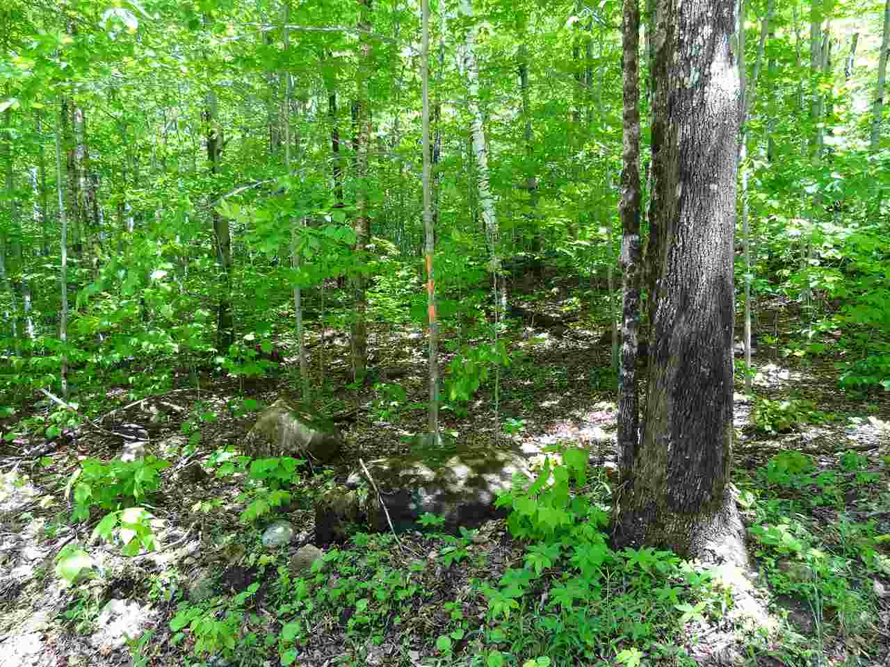 0 Old Tiffany Road Mount Holly, VT 05758 - Photo 7 of 8 Gallery Image 7