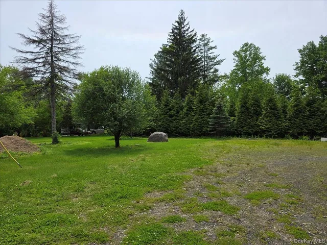 a front view of a house with a yard and trees