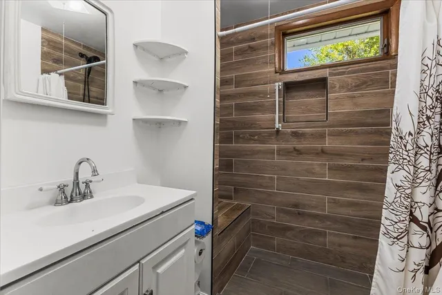 a bathroom with a sink and a shower