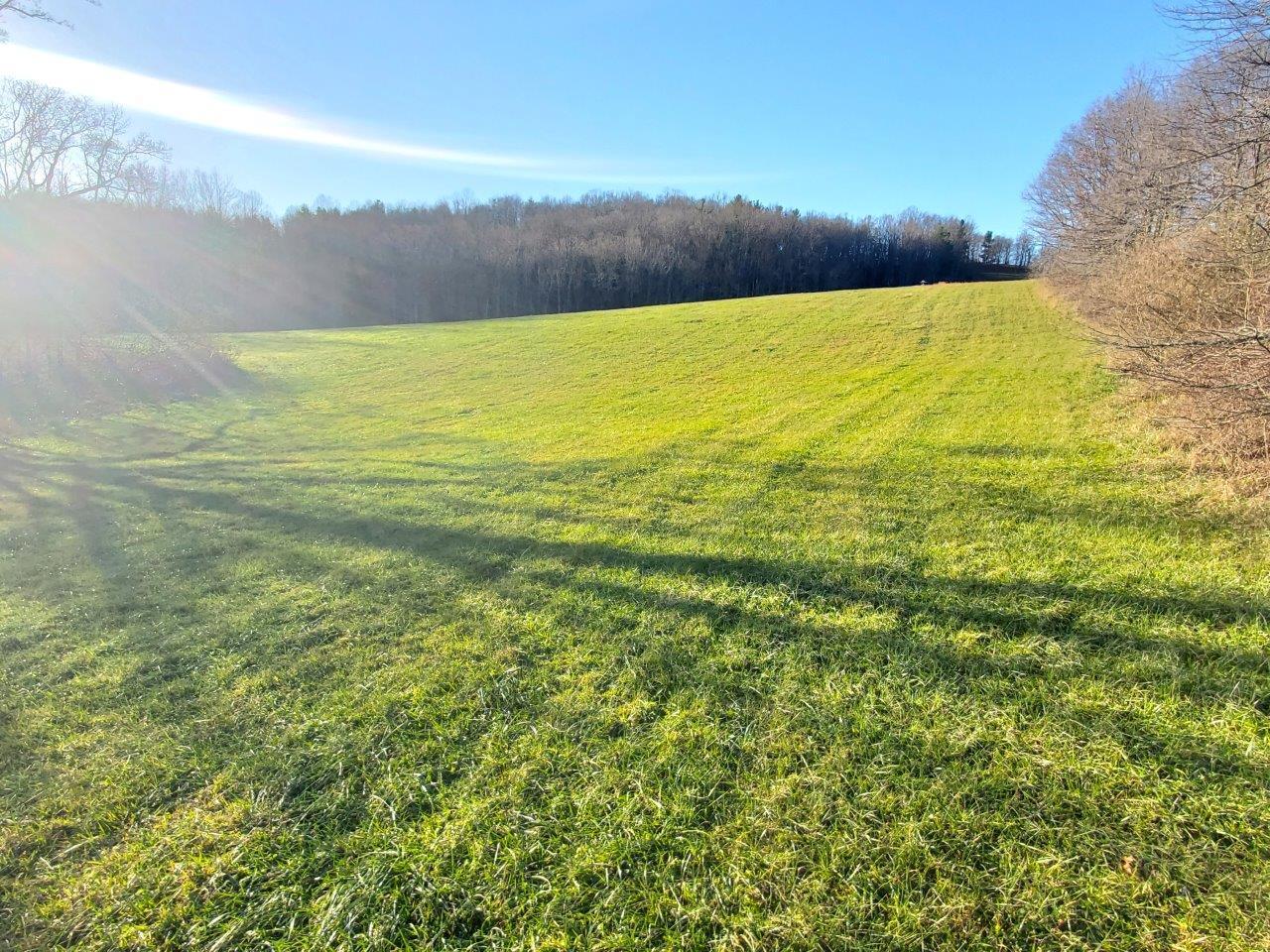 0 Mat Road Southwest Laurel Fork, VA 24352 - Photo 2 of 5 20201118_155233