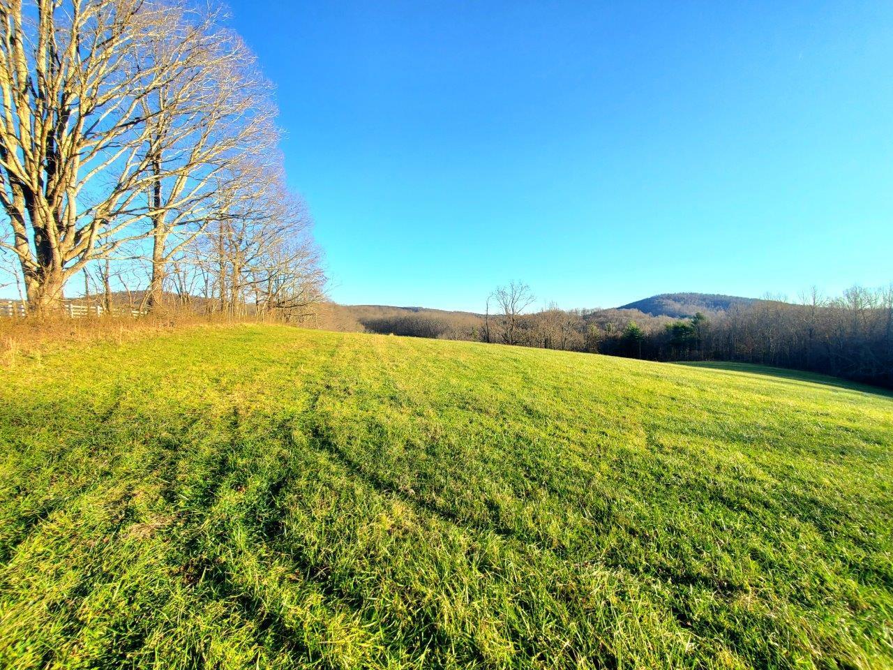 0 Mat Road Southwest Laurel Fork, VA 24352 - Photo 5 of 5 20201118_160423