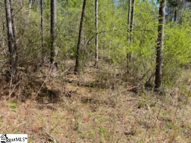 $218,450 | 0 Eleanore Dr Union, West Union, SC 29696