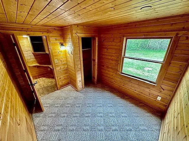 31336-31338 Rasmussen Road Pequot Lakes, MN 56472 - Photo 49 of 54