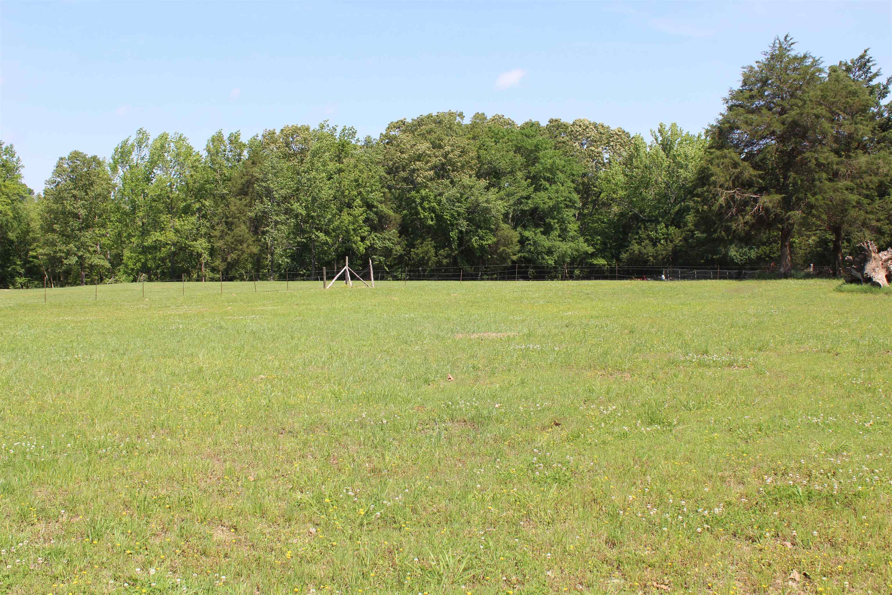 6565 McKinstry Road Moscow, TN 38057 - Photo 3 of 19 Gallery Image 3