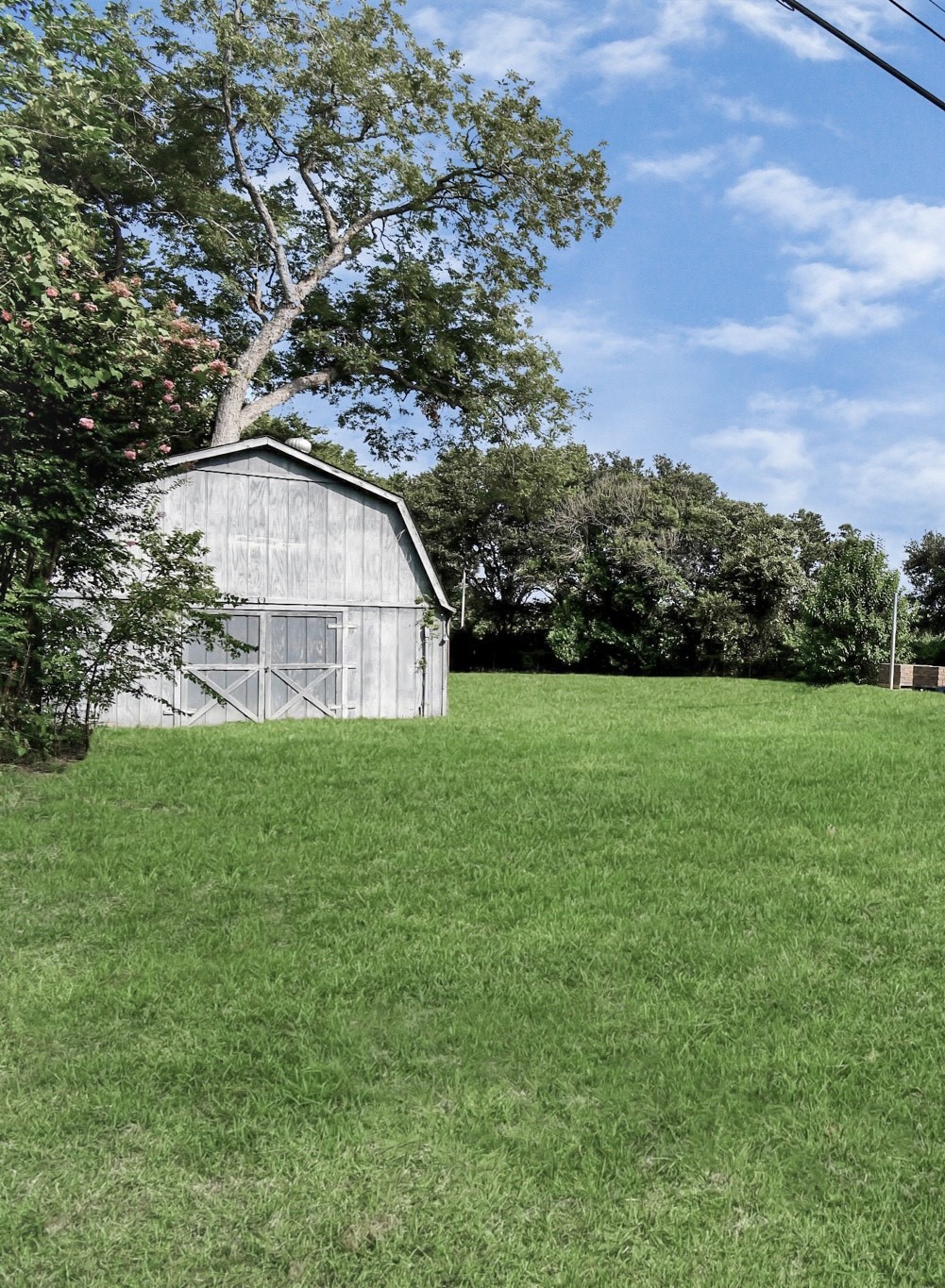6735 Alpine Drive Houston, TX 77061 - Photo 4 of 6 a view of a backyard with large trees