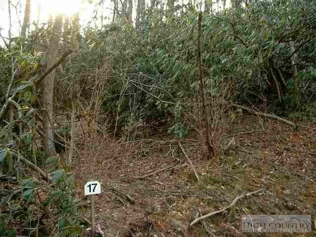 17 R Vandettas View Boone, NC 28607 - Photo 1 of 1 a view of a dry yard with trees