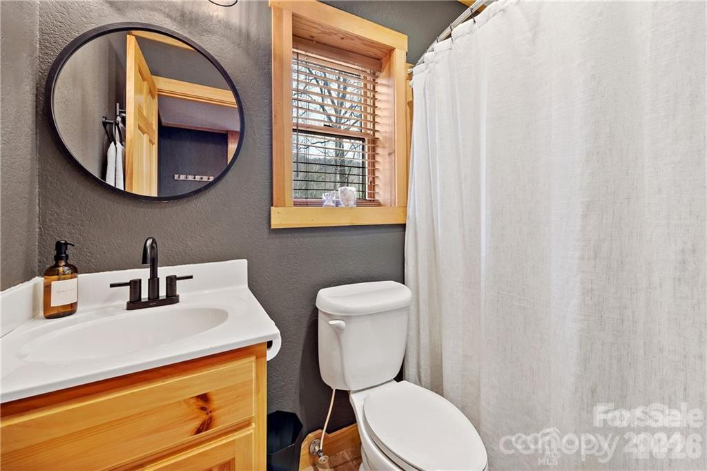 552 Lake Road Old Fort, NC 28762 - Photo 36 of 46 a bathroom with a toilet a sink and mirror