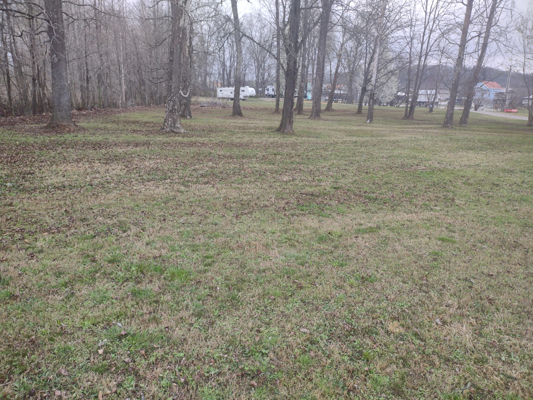 59 Lakeside Lane Decaturville, TN 38329 - Photo 15 of 18 a view of a backyard with large trees