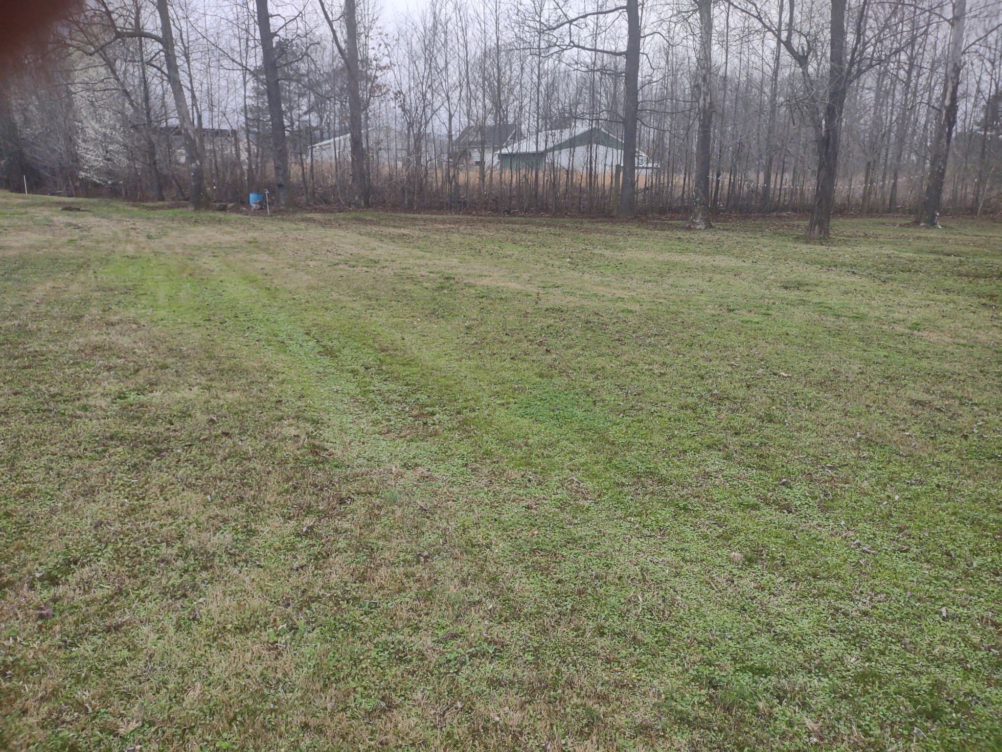 59 Lakeside Lane Decaturville, TN 38329 - Photo 6 of 18 a view of a yard