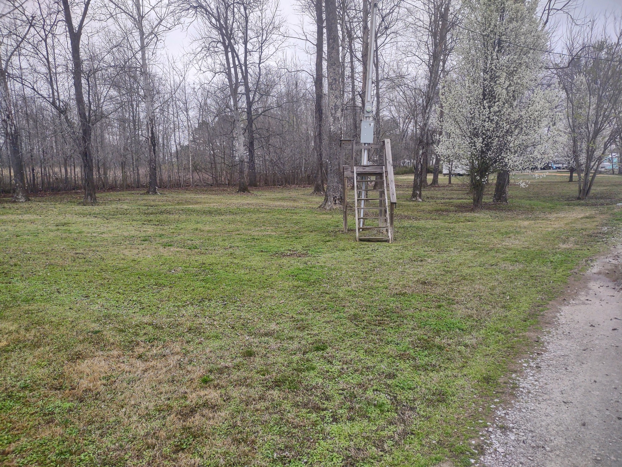 59 Lakeside Lane Decaturville, TN 38329 - Photo 9 of 18 a backyard of a house with lots of green space
