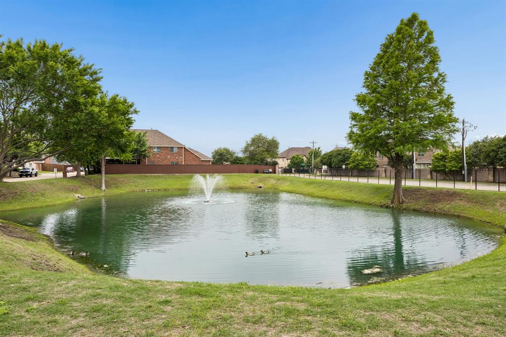 2003 Downing Street Allen, TX 75013 - Photo 36 of 40 And literally, just steps away is this lovely pond with fountain and Ducks!