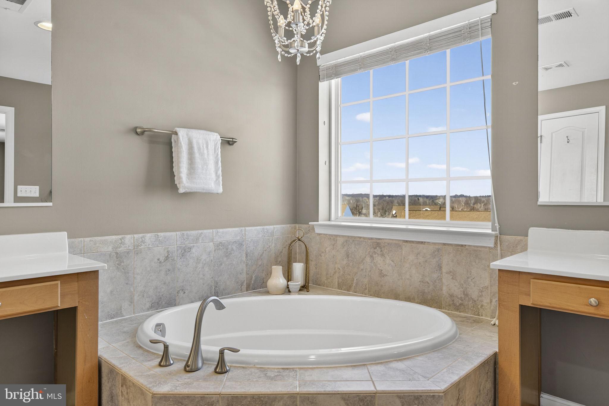43132 Butterfly Way Leesburg, VA 20176 - Photo 35 of 63 a bath tub sitting in a bathroom next to a window