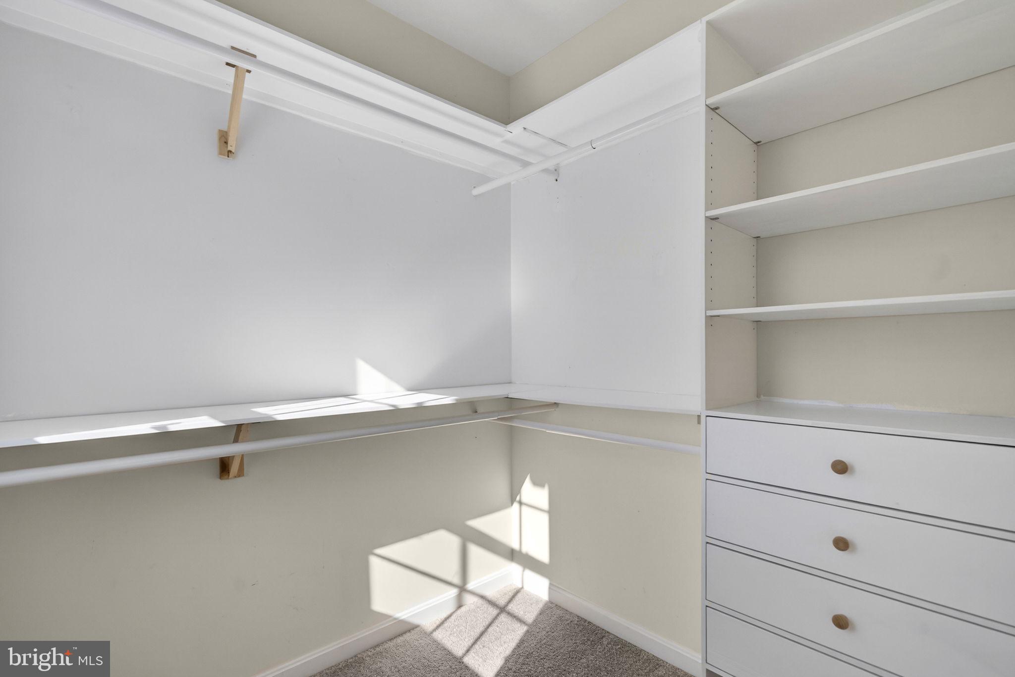 43132 Butterfly Way Leesburg, VA 20176 - Photo 37 of 63 Bedroom 2 walk-in