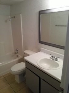 1320 Wilson Street, Unit 233 Lockhart, TX 78644 - Photo 5 of 11