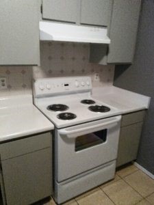 1320 Wilson Street, Unit 233 Lockhart, TX 78644 - Photo 10 of 11