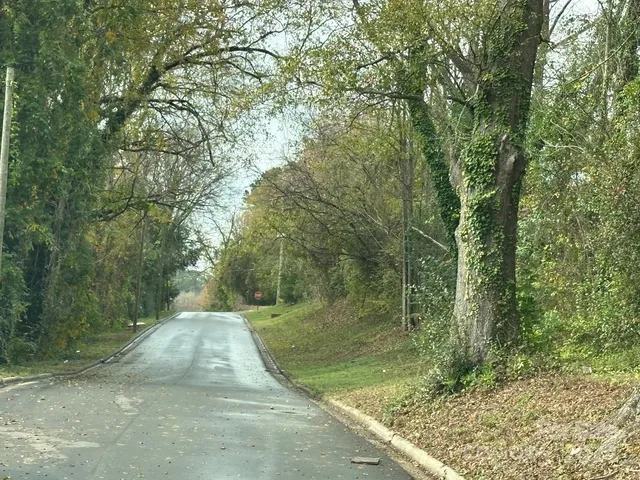 a view of street along with trees