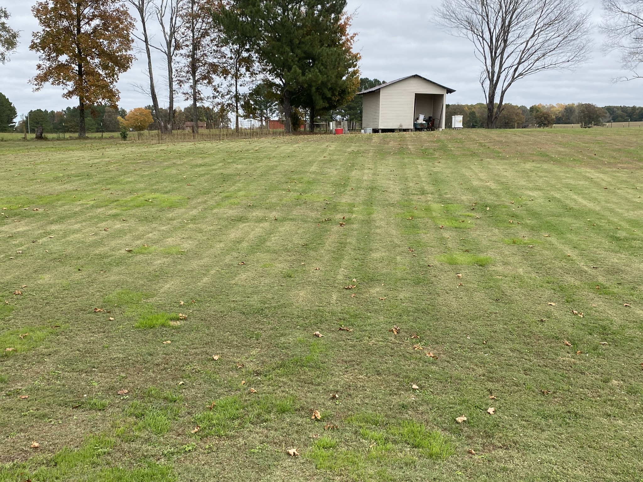 876 Barnette Road Minor Hill, TN 38473 - Photo 24 of 27