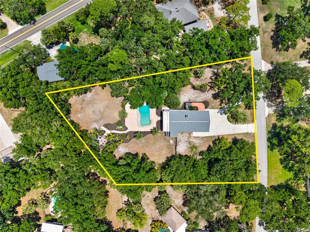 1007 State Street East Oldsmar, FL 34677 - Photo 60 of 65