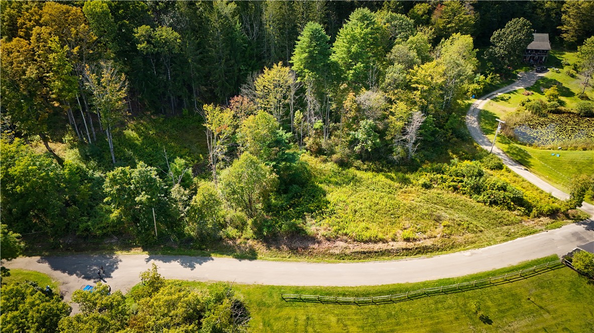 0 Worden Road Waverly, NY 14892 - Photo 12 of 42