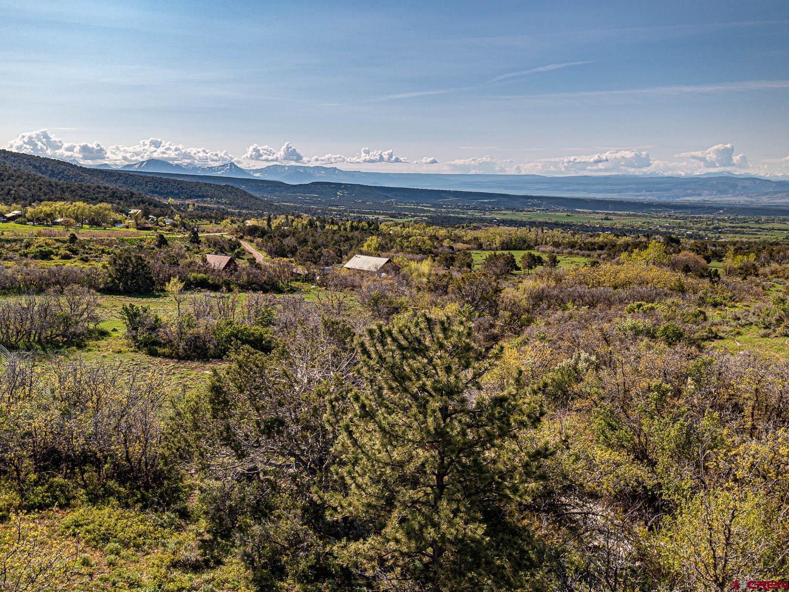 21961 2225 Road Cedaredge, CO 81413 - Photo 29 of 34 Gallery Image 29