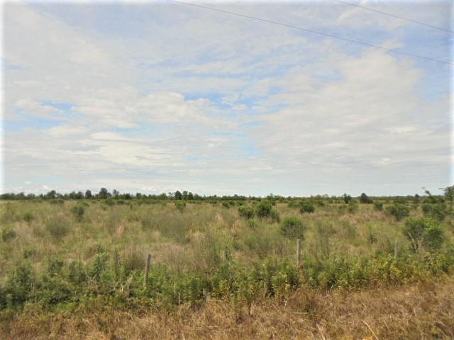 0 Raoul Road Iowa, LA 70647 - Photo 1 of 1 Gallery Image 1