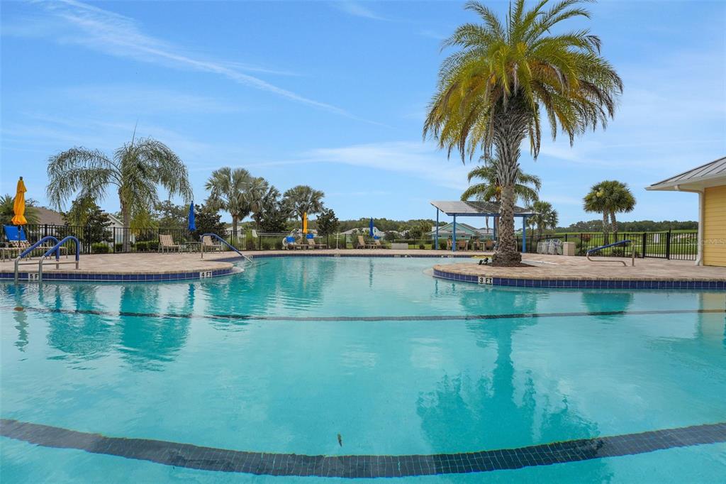 987 Fiesta Key Circle Lady Lake, FL 32159 - Photo 27 of 39 a view of swimming pool with a yard and palm trees