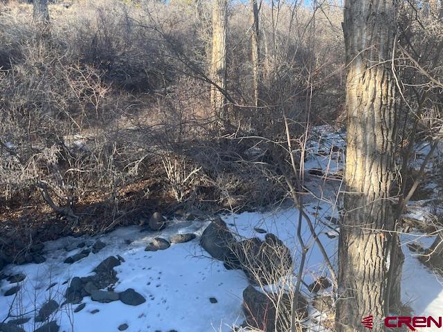 2115 2500th Drive Cedaredge, CO 81413 - Photo 3 of 3 a view of a yard with plants and trees