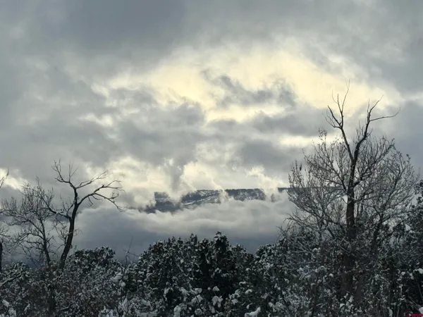 a backyard of a house