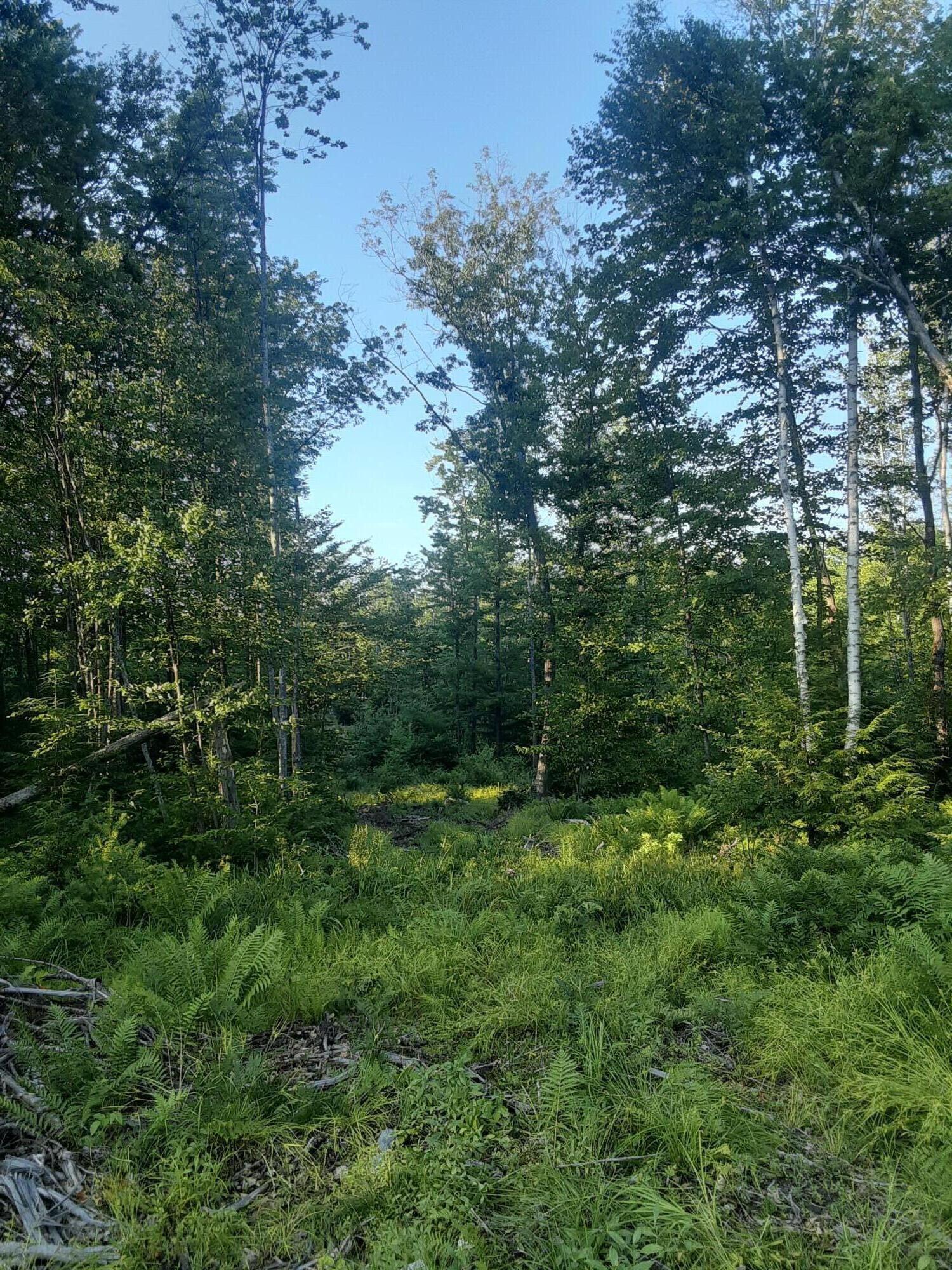 17 Trinity Ridge Road East Waterboro, ME 04030 - Photo 4 of 9 20220717_184425