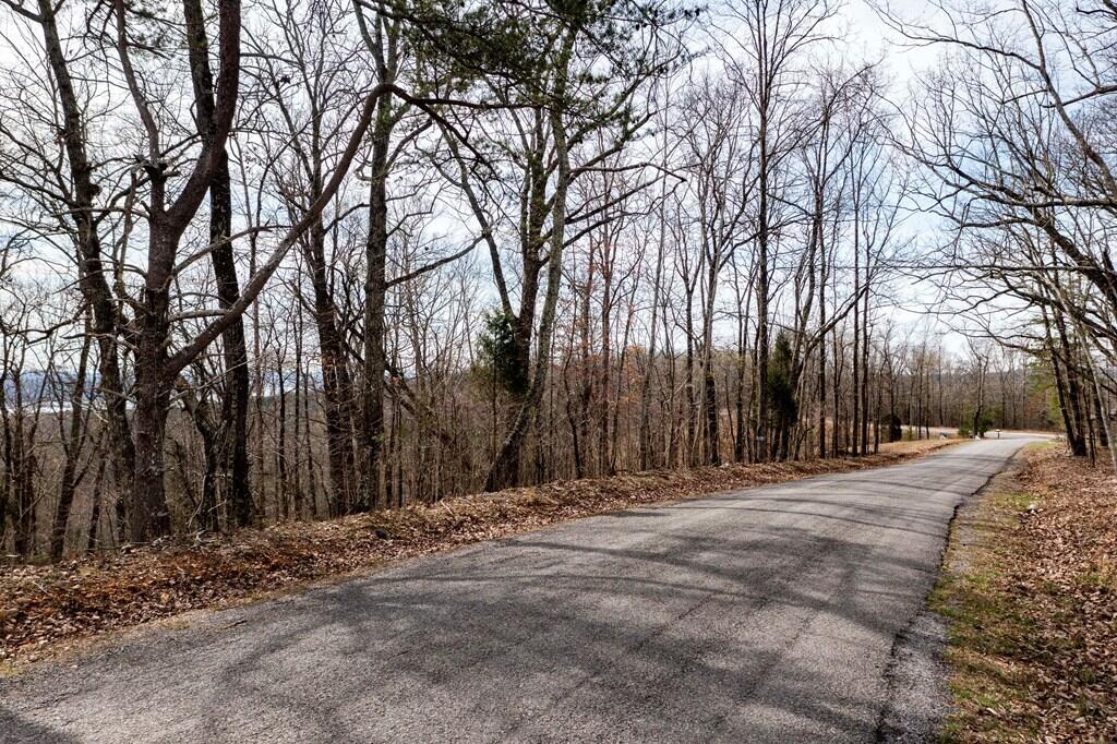 Lot 266 Spruce Dr Spring Spring City, TN 37381 - Photo 7 of 7 7