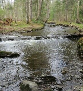 Map11-6-2 Map11-6-2 Rioux Road Eagle Lake, ME 04739 - Photo 5 of 9 Eagle Lake land Brown Brook additional p