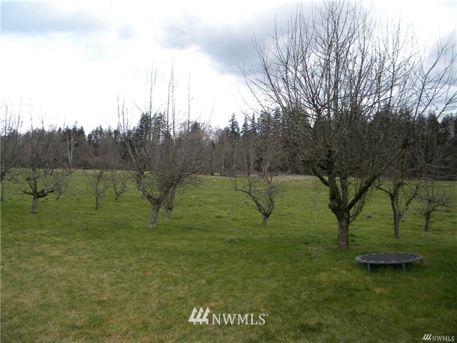 683 Monte Elma Road Elma, WA 98541 - Photo 3 of 12 Gallery Image 3